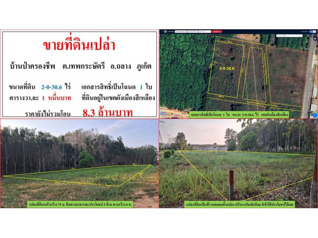 ขายที่ดินเปล่า ขนาด 2-0-30.6 ไร่ บ้านป่าครองชีพ ต.เทพกระษัตรี อ.ถลาง ภูเก็ต