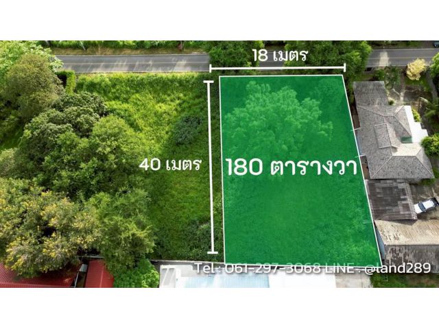 ขายที่ดินโซนเจ็ดยอด ใกล้เมญ่า,นิมมาน วิวดอยสุเทพ เนื้อที่ 180 ตร.ว. วาละ 55,000