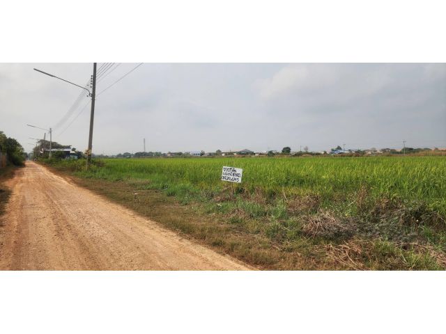 ขายที่ดิน 80 ตรว. ราคาถูก ปทุมธานี รังสิต-นครนายก