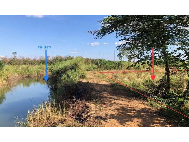 ที่ดินเปล่าให้เช่าการเกรษต 15 ไร่ ถนนบ้านน้ำดิบ (ติดคลองน้ำ)