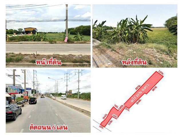 ที่ดินติดถนน บางกรวย-ไทรน้อย 46 ไร่กว่า ใกล้ตลาดพงศ์ไพบูลย์ แหล่งชุมชน เดินทางสะดวก