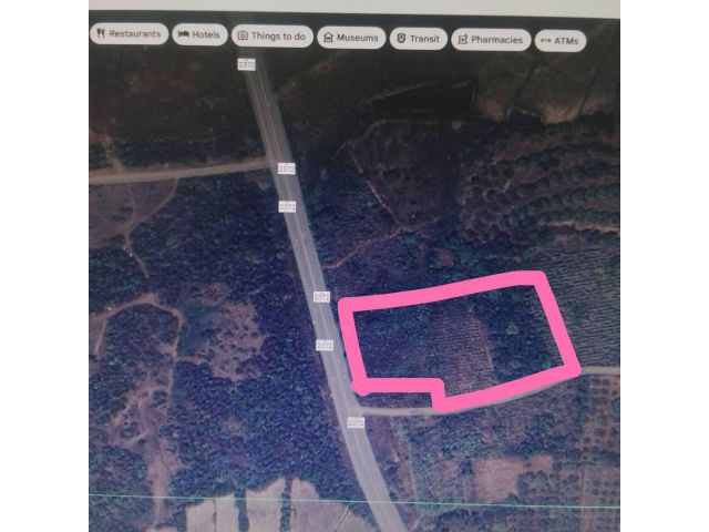 ด่วนที่สุด ขายที่ดินติดทางหลวง 2372 บ้านเนิน-หล่มสัก จำนวน 14 ไร่ 3 งาน 73 ตารางวา