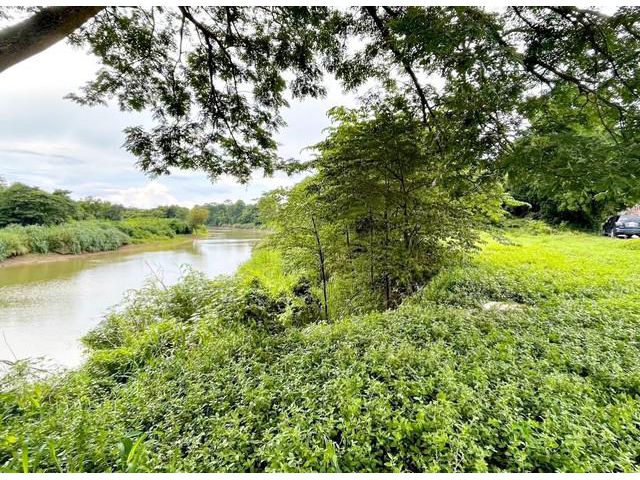 ที่ดิน 1 งาน 41 ตารางวา นส.4 โฉนดครุฑแดง ติดแม่น้ำป่าสัก