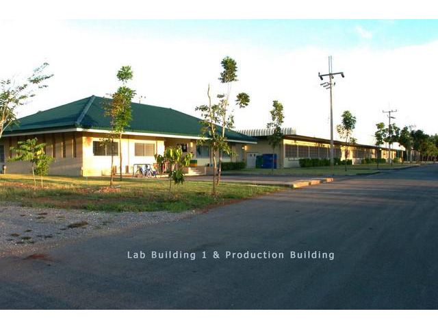 ขาย!! ที่ดินพร้อมโรงงานใหญ่ 29 ไร่กว่า อำเภอเขาชะเมา จ.ระยอง