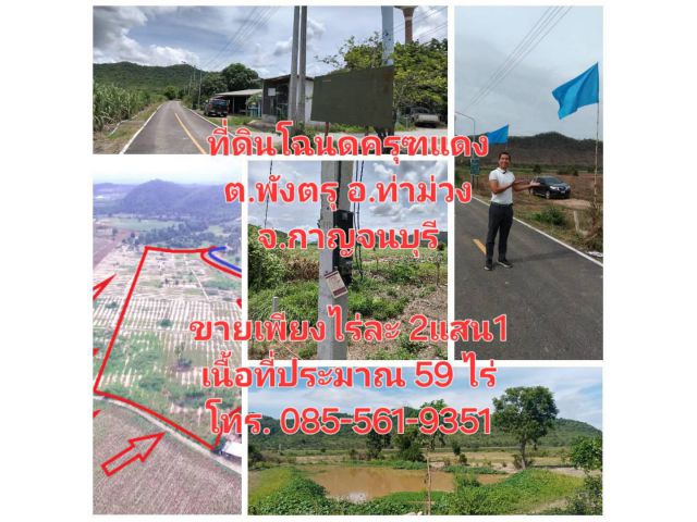 ที่ดิน59ไร่ จ.กาญจนบุรี อ.ท่าม่วง เพียงไร่ละ2แสน1 โฉนดครุฑแดง เชิงเขา ติดห้วย น้ำไฟพร้อม ถนนลาดยาง ใกล้กทม.แค่1ชม.กว่า