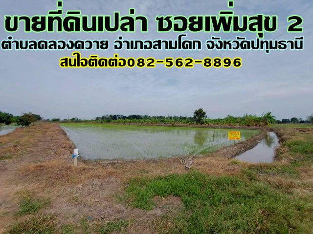 ขายที่ดินเปล่า ซอยเพิ่มสุข 2 ตำบลคลองควาย อำเภอสามโคก จังหวัดปทุมธานี