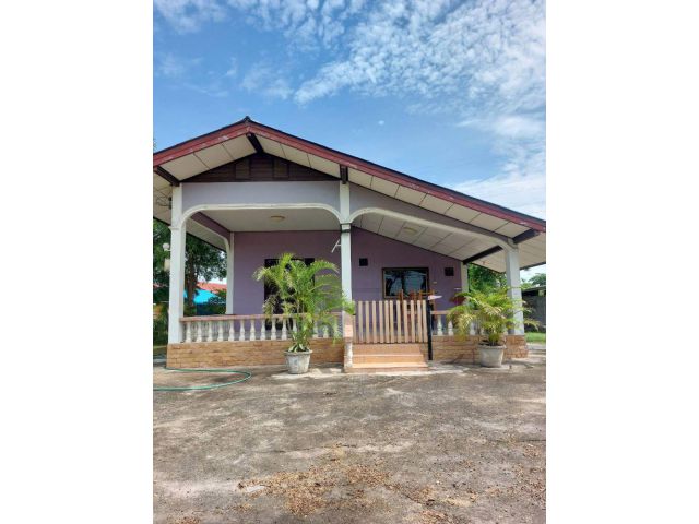 ขายบ้านเดี่ยวชั้นเดียว หมู่บ้านหางแขยง สไตล์ไทย - ยุโรป 3 หลัง เริ่มต้น 2 งาน ติดถนนใหญ่ พร้อมเฟอร์นิเจอร์ ต.หางน้ำสาคร