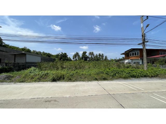 ขายที่ดินริมแม่น้ำท่าจีน 3 ไร่ครึ่ง ติดถนนคอนกรีต ใกล้พุทธมณฑล สาย 7