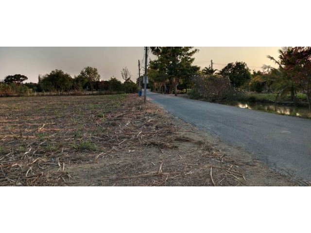 ขายที่ดิน 13 ไร่ ติดถนนลาดยาง หนองงูเหลือม เมืองนครปฐม