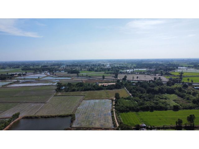 อำเภอไชโยจังหวัดอ่างทองครับสวนไผ่ราคาไร่ละ200,000โฉนดเลขที่ 662