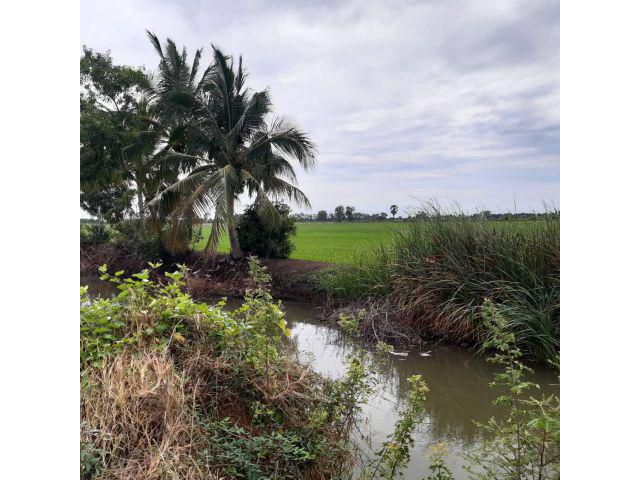 ขายด่วน ดินแปลงสวยราคาถูก ติดถนนสาธารณะ ใกล้ชุมชน เนื้อที่ 72-0-92 ไร่ ด้านหน้าติดคลองน้ำสาธารณะ เหมาะทำการเกษตร