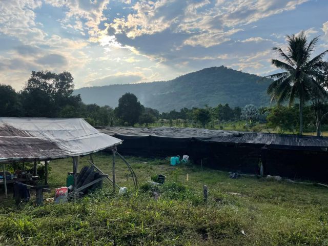 ที่ดินสวยเขตตัวภูเรือติดถนนลาดยาง 1 ไร่ 1ล้าน ทำเลดีเขตชุมชนแต่บรรยากาศบ้านสวนสบายๆ