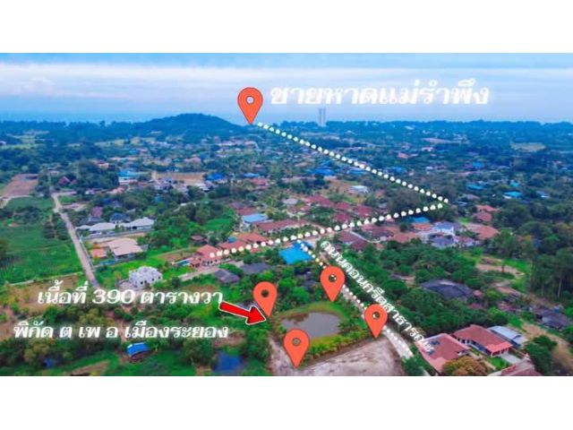 ขายที่ดินเปล่ามีสวนมะพร้าวไกล้ทะเลหาดแม่รำพึงจ.ระยองขายราคา2.800.000ลบ.เนื้อที่390ตรว.