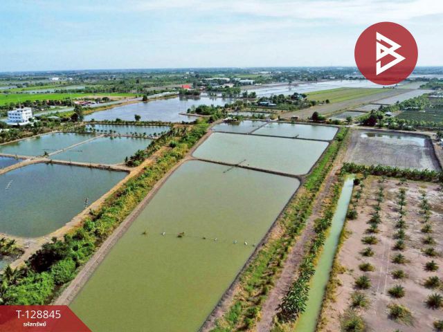 ขายที่ดิน เนื้อที่ 22 ไร่ 1 งาน 62 ตร.วา บางเลน นครปฐม