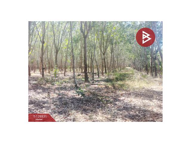 ขายที่ดิน เนื้อที่ 7 ไร่ 1 งาน 75 ตร.วา เพ ระยอง