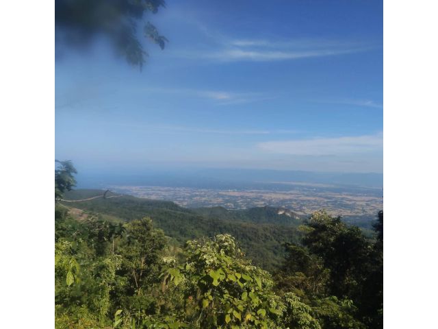 ด่วนที่สุด ขายที่ดินติดทางขึ้นภูทับเบิก วิวสวยมาก จำนวน 44 ไร่