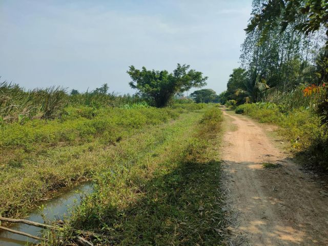 ขายที่ดินเปล่า 12-0-31 ไร่ ใกล้หาดปึกเตียน อ.ท่ายาง จ.เพชรบุรี