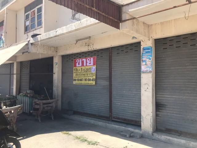 ขายที่ดิน 4ไร่ พร้อมสิ่งปลูกสร้างทำเลดี  บางซ้าย  อยุธยา