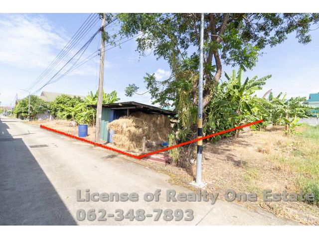 ขายที่ดิน ซ.สวนผัก ปทุมธานี ใกล้วัดหนองปรง ทำเลทอง ราคานี้หายากสุ