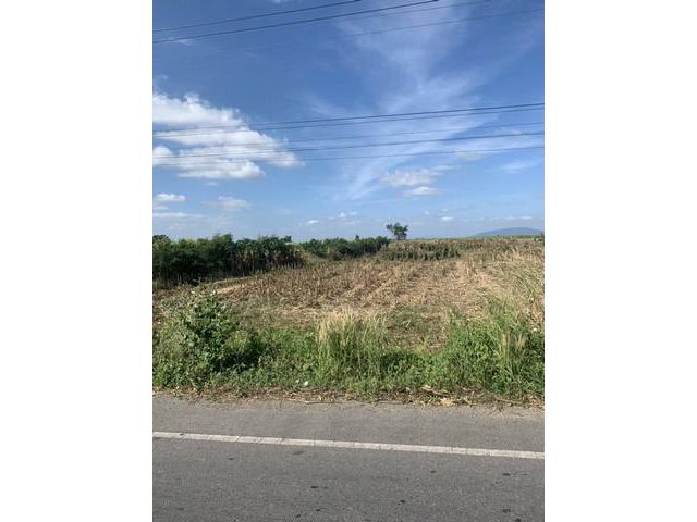 ขายที่ดิน 7ไร่1งาน 7.7ล. ถ.ป่าสัก ต.วังม่วง อ.วังม่วง สระบุรี