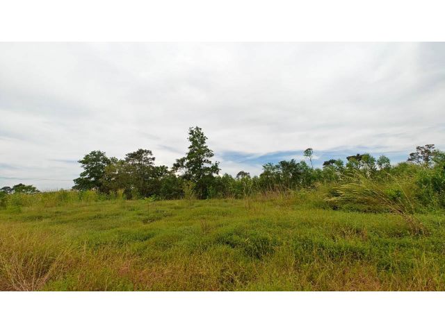 ขายที่ดินปลูกบ้าน 1 ไร่ นาแขม กบินทร์บุรี ปราจีนบุรี