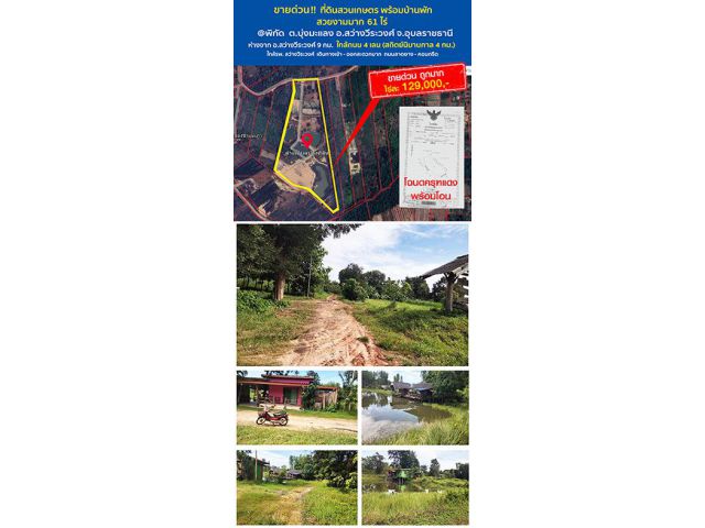 *** ปลอดภัยจากแผ่นดินไหว*** ที่ดิน 61 ไร่ สวยงามมาก ต.บุ่งมะแลง อ.สว่างศ์วีระวงศ์ เดินทางเข้าและออกสะดวกมาก ห่างจากถถน 4