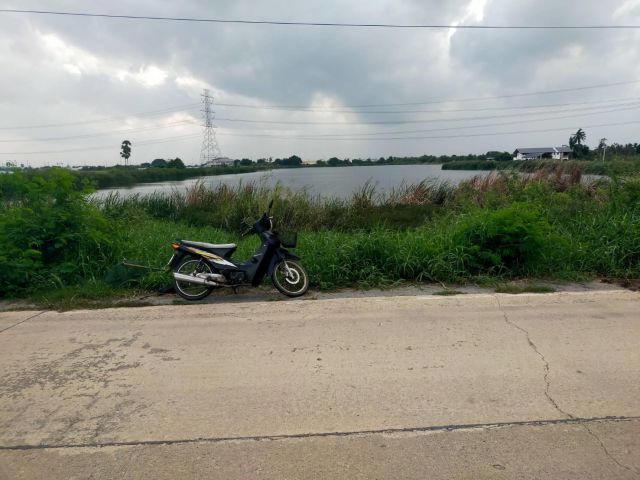 ขายบ่อดินเก่า70ไร่ เหมา50ล้าน ติดถนนคอนกรีต อ.ไทรน้อย จ.นนทบุรี.ขาบต่ำกว่าประเมินกรมที่ดิน.เหมาะโซล่าเซล์ลอยน้ำ/บ่อตกปลามีเสาไฟใหญ่ผ่าน