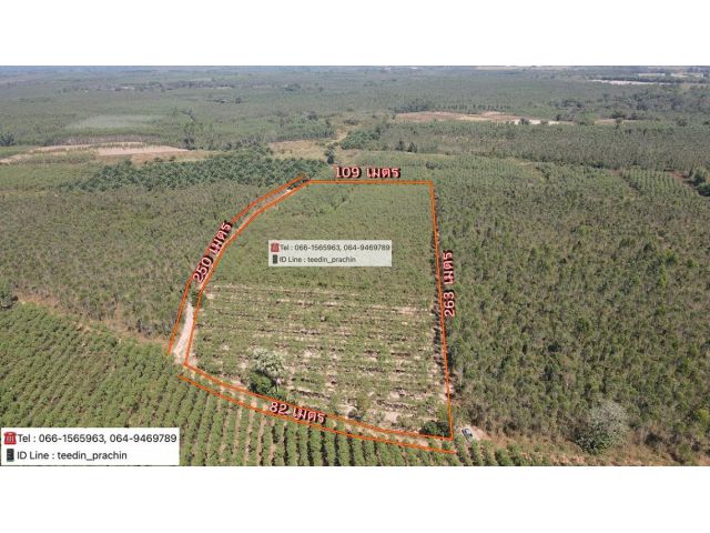 ️ขายที่ทำเกษตร ทำสวน ทำไร่  เนื้อที่ 18 ไร่เศษ ที่เขตกบินทร์บุรี