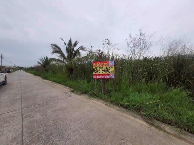 ร้อนเงินขายถูกที่สุดที่ดินบ้านกลาง 244 ตรว ติดถนนคอนกรีตสาธารณะ ซ.โม่ฮวด 7 เมืองปทุมธานี