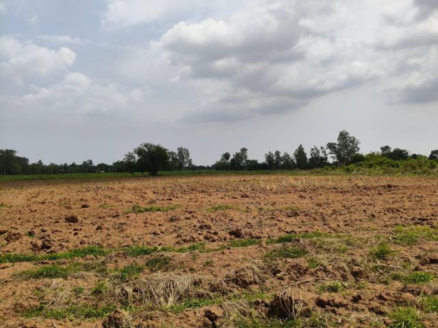 ขายที่ดินลพบุรี ใกล้ถนนลาดยาง 140,000บาท