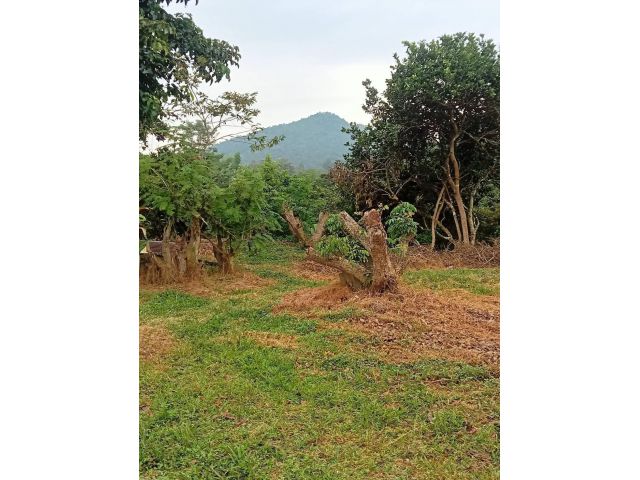 ขายที่ดินวิวเขาแปลงสวยรูปสี่เหลี่ยม349ตารางวา ใกล้อ่างเก็บน้ำ​ห้วย​ลาน แลนด์มาร์ค​ของ​อ.สันกำแพง​ที่ดินตั้งอยู่ที่ ต.ออนใต้ อ.สันกำแพง จ.เชียงใหม่