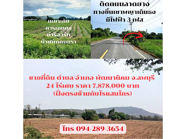ขายถูก!! ที่ดินเปล่า 24 ไร่เศษ วิวภูเขา ถนนลาดยาง ตรงข้ามไร่แสนไกล ทางขึ้นจุดชมวิวเขาพระยาเดินธง ต.พัฒนานิคม อ.พัฒนานิคม จ.ลพบุรี เจ้าของขายเอง