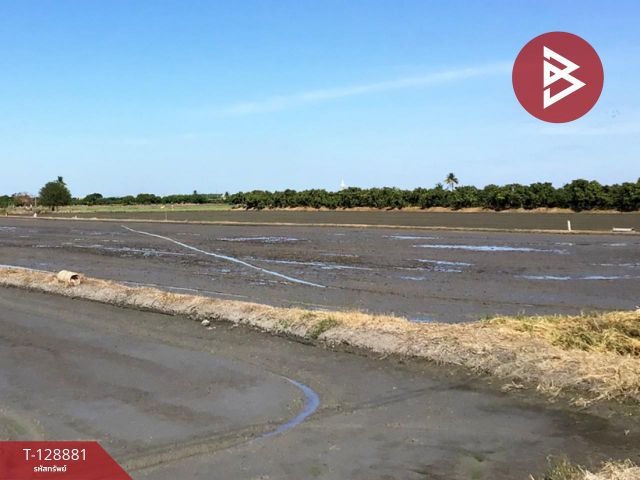 ขายที่ดินเปล่า เนื้อที่ 3 ไร่ 2.2 ตารางวา ทับตีเหล็ก สุพรรณบุรี