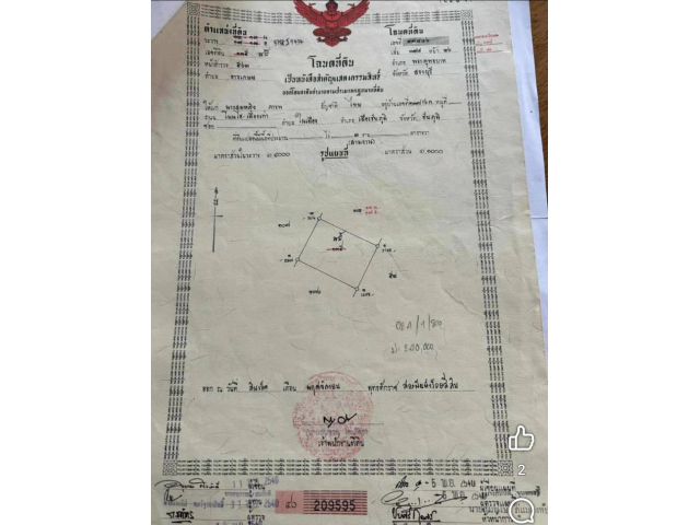 ขายที่ดิน 300 ตารางวา (เนื้อที่ 3 งาน)