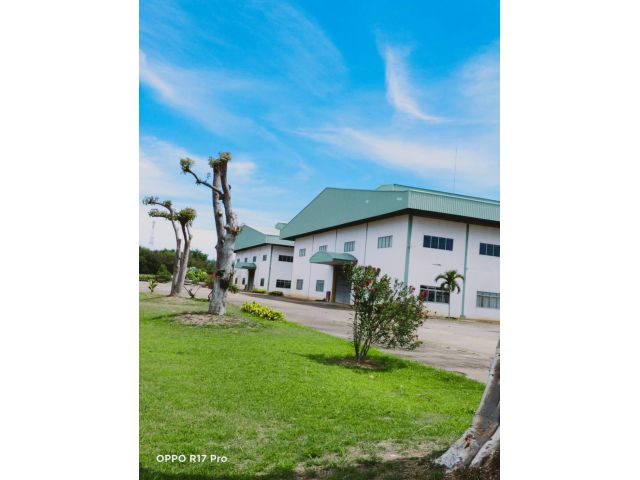 ขายโรงงานบนที่ดิน 97 ไร่ ติดถนนเพชรเกษม ขาเข้ากรุงเทพ ต.ดอนขุนห้วย อ.ชะอำ จ. เพชรบุรี