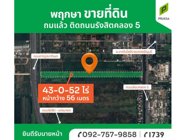 เวลาทอง แปลงสวย ขายที่ดิน รังสิตคลอง 5 (รหัส A24)