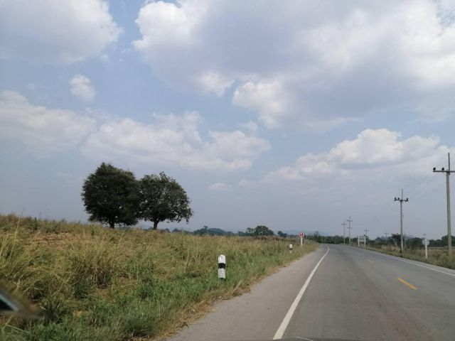 ขายที่ดินติดน้ำธรรมชาติ อำเภอวังน้ำเขียว 134 ไร่ ขายถูก ขายด่วน