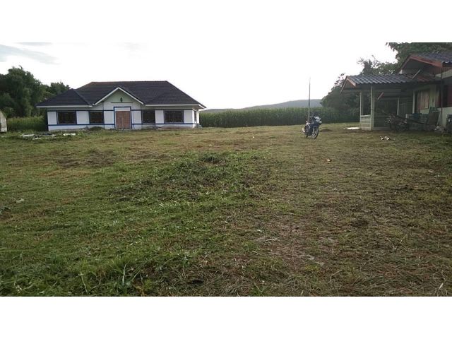 ขายด่วน! ที่โฉนดติดถนนทางหลวงชนบทสายบ้านใหม่เจริญมิตร-บ้านเจริญเมือง 8-1-50 ไร่+บ้าน 3 หลัง ต.เจริญเมือง อ.พาน จ.เชียงราย 3,000,000.- เท่านั้น