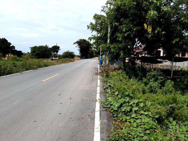 ขายที่ดินเขตนราภิรมย์ อ.บางเลน แปลงสวยราคาถูก ติดถนนลาดยาง ใกล้ชุมชน เนื้อที่ 300 ตรว. อากาศดีสงบร่มรื่นเหมาะปลูกบ้าน