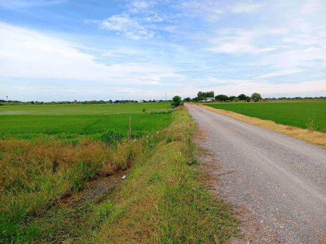 ขายด่วนที่ดิน ราคาถูก ติดถนนสาธารณะ ใกล้ชุมชน ใกล้อนามัยนราภิรมย์ เนื้อที่ 4-2-0 ไร่ เหมาะปลูกบ้านทำเกษตรหรือทำธุรกิจ