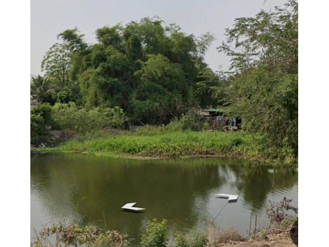 แบ่งขายที่ดินต.นราภิรมย์ แปลงสวย ทำเลดี ติดถนนคอนกรีต ติดคลองทวีวัฒนา เนื้อที่ 1ไร่ เหมาะปลูกบ้านพักอาศัยหรือทำธุรกิจ