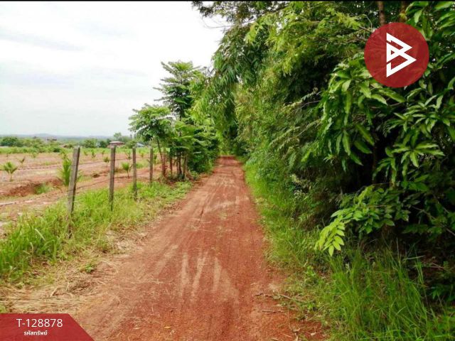 ขายที่ดิน เนื้อที่ 2 ไร่ 17.2 ตร.วา ท่าบ่อ หนองคาย