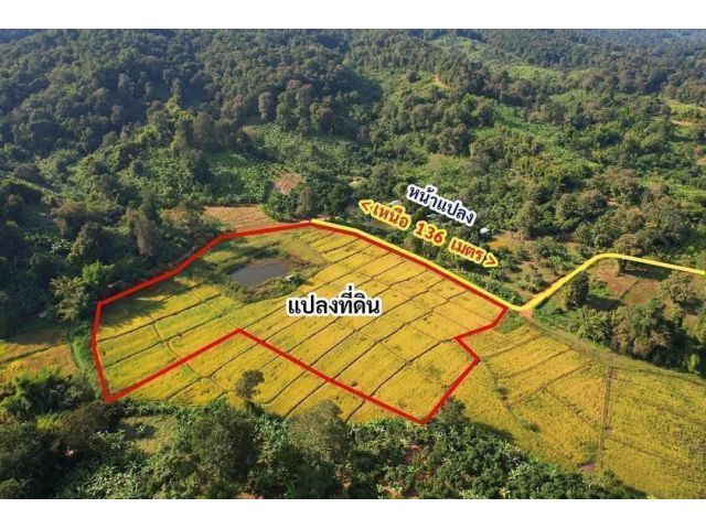 ขายที่ดิน 11 ไร่ ภูเขาล้อมรอบ ต.สันป่ายาง อ.แม่แตง จ.เชียงใหม่