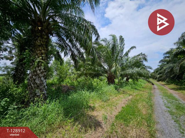 ขายที่ดิน เนื้อที่ 52.7 ตร.วา บางน้ำเปรี้ยว ฉะเชิงเทรา