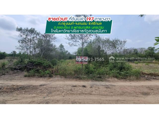 ขายที่ดิน ถนนกรุงนนท์-จงถนอม ซอยศรีกมล ต.คลองโยง อ.พุทธมณฑล นครปฐม พื้นที่ 197 ตารางวา ขาย 1.1 ล้านบาท