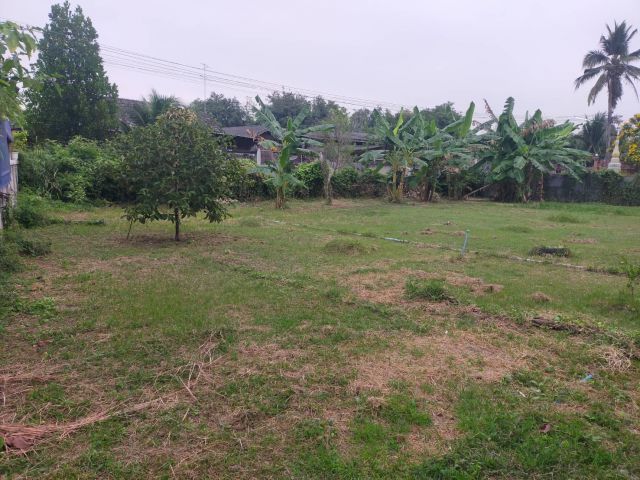 ด่วน ขายที่ดินพร้อมบ้านไม้แดงแท้ ต.อ่างทอง อ.เมือง จ.ราชบุรี