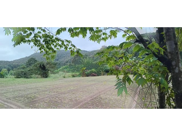 ขายที่ดินแม่แตงแปลงสวย ทำเลดีติดถนนบรรยากาศดีเยี่ยม เหมาะสร้างบ้าน/เพาะปลูก/รีสอร์ท/ เดินทางสะดวกโฮมสเตย์