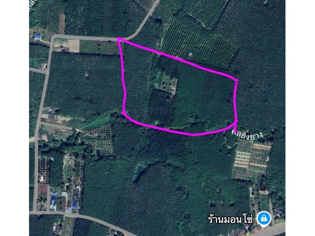 ขายที่ดิน มีโฉนด 115 ไร่ สวย ถูก ราคาต่อรองได้ ติดุถนน ติดคลอฃสาธสรณะประโยชน์