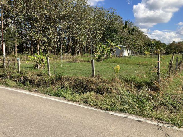 ขายที่ดิน บ้านเหล่า ต บ้านเป้า อ เมือง จ ลำปาง