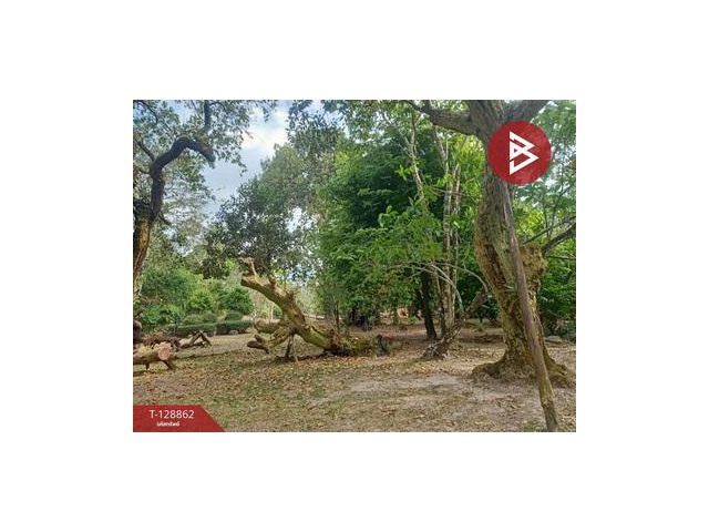 ขายที่ดิน เนื้อที่ 15 ไร่ 2 งาน 33.5 ตร.วา สาริกา นครนายก